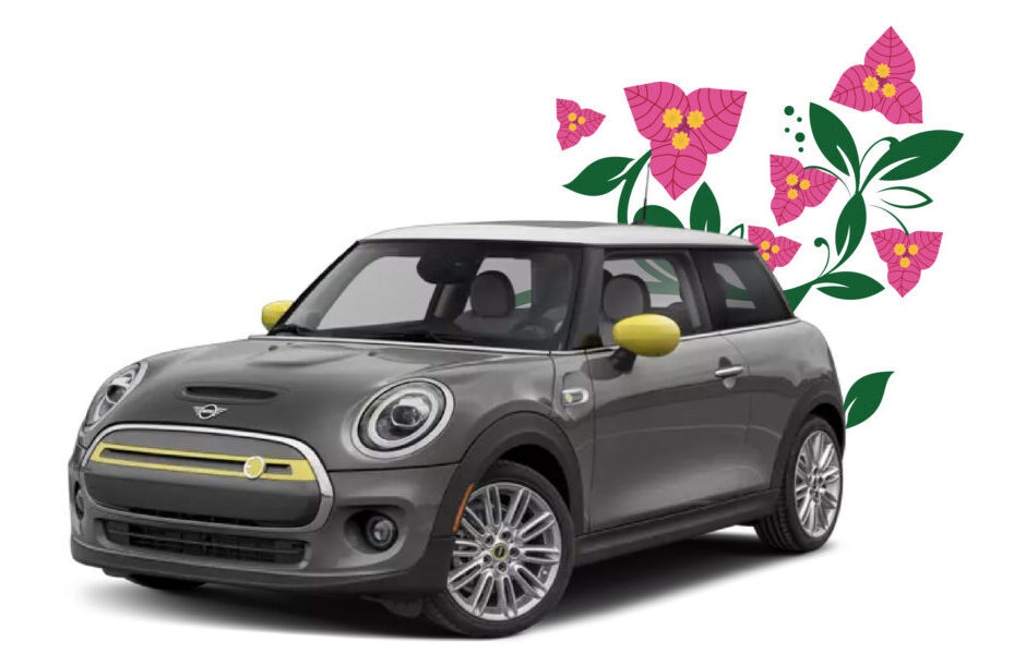 Electric Mini Cooper with flowers as a background